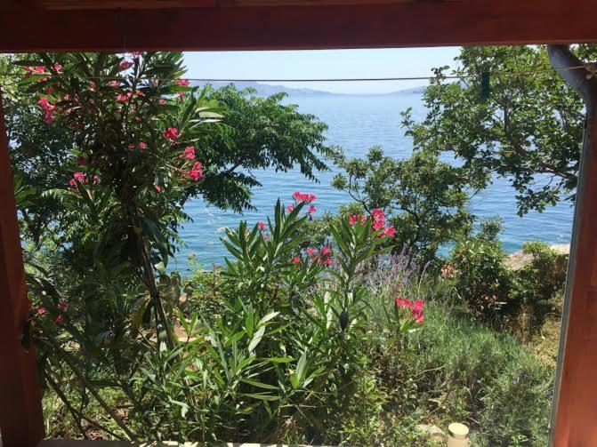 Studio Bozica Senj Senj  Ngoại thất bức ảnh